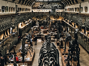 4K UHD Case Application